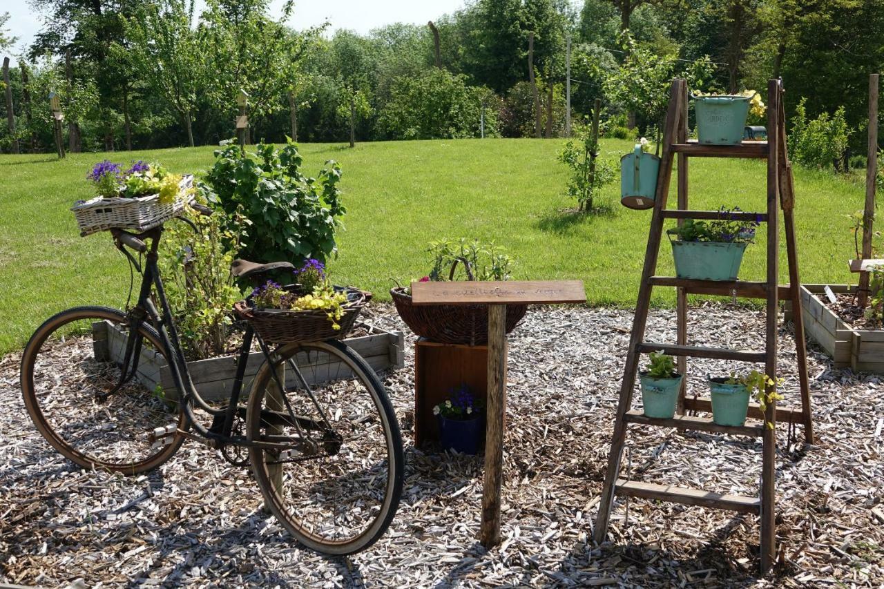 Le Manoir Des Aromes * Brugny-Vaudancourt